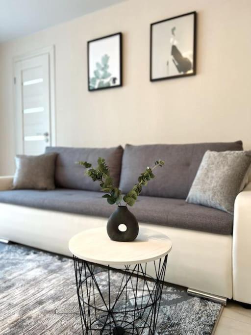 New Modern Apartments In The City Center Нарва Экстерьер фото